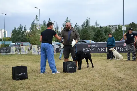 DiscDogging seminar 2012