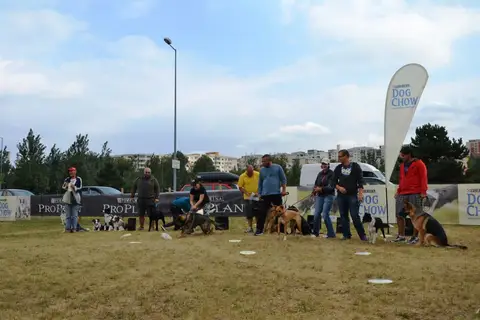 DiscDogging seminar 2012