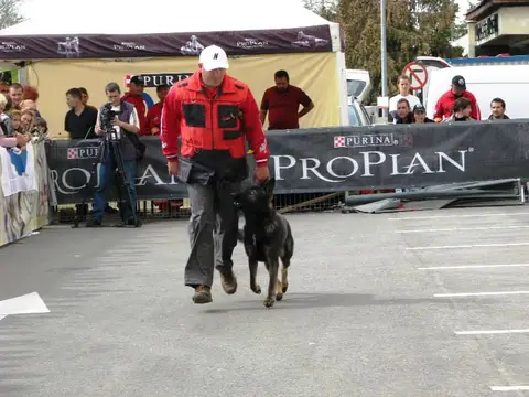 The Brave Dogs Show 2012