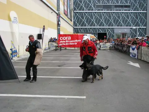 The Brave Dogs Show 2012