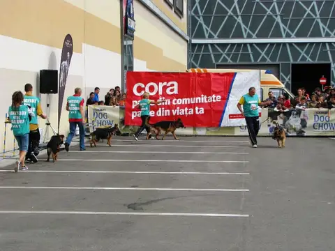 The Brave Dogs Show 2012