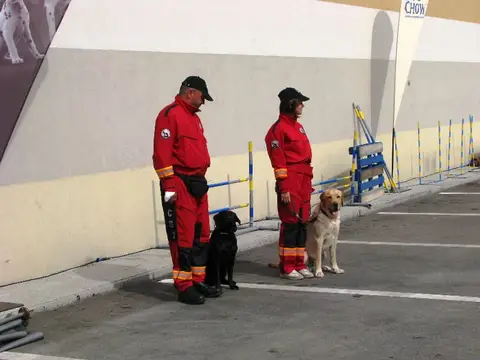 The Brave Dogs Show 2012