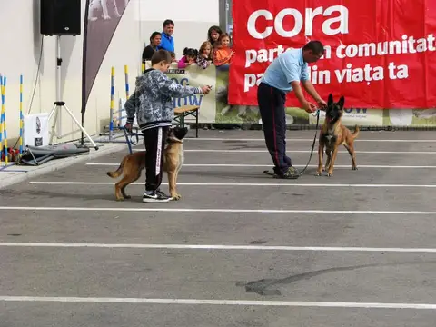 The Brave Dogs Show 2012