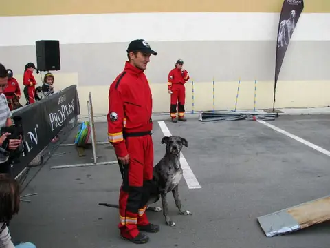 The Brave Dogs Show 2012