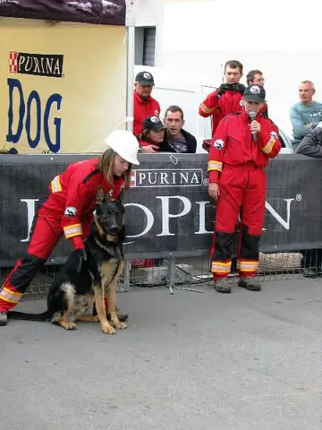The Brave Dogs Show 2012