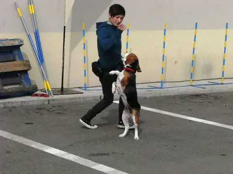 The Brave Dogs Show 2012