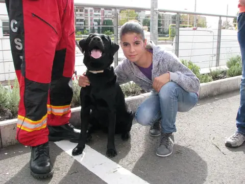 The Brave Dogs Show 2012