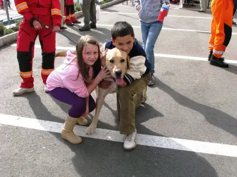 The Brave Dogs Show 2012