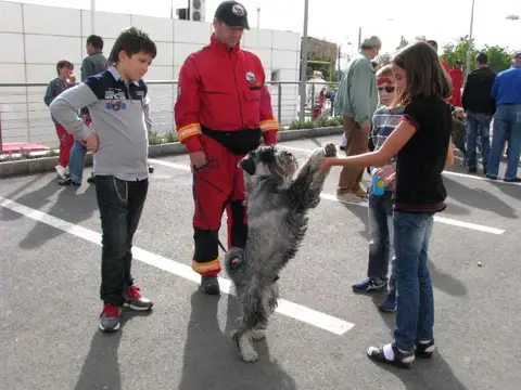 The Brave Dogs Show 2012