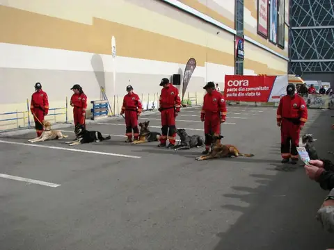 The Brave Dogs Show 2012