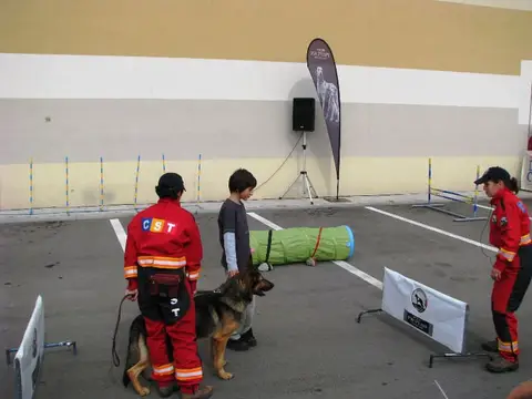 The Brave Dogs Show 2012