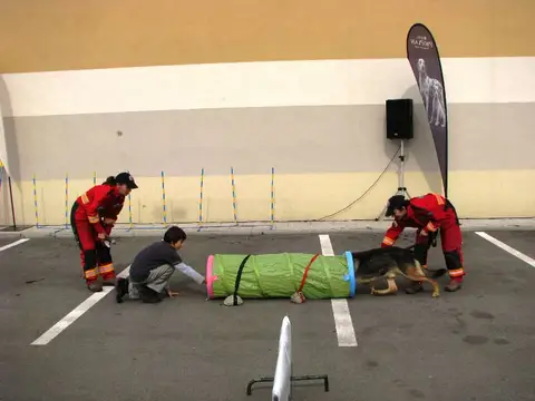 The Brave Dogs Show 2012