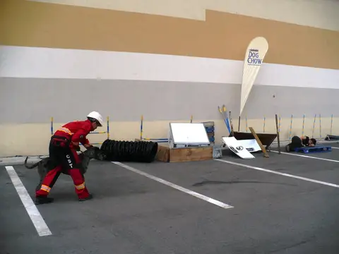 The Brave Dogs Show 2012