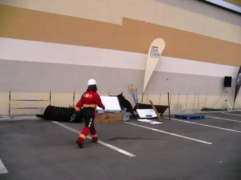The Brave Dogs Show 2012