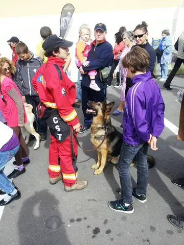 The Brave Dogs Show 2012