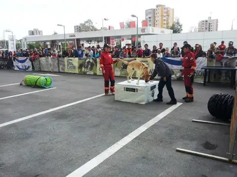 The Brave Dogs Show 2012