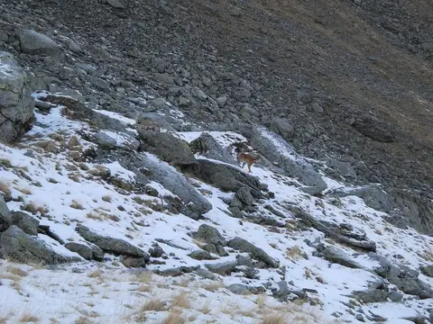 Bâlea Lake training camp, November 2012