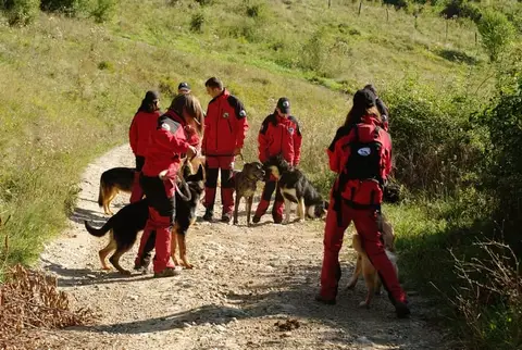 Rubble search training