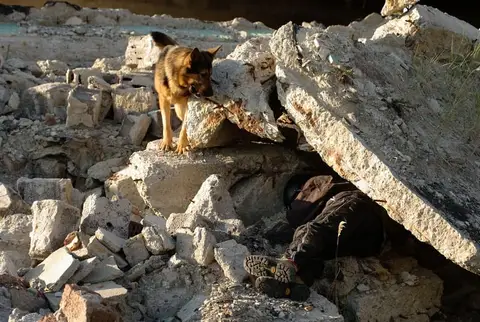 Rubble search training