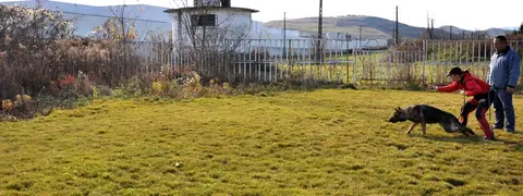 Training Sessions
