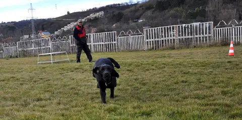 Training Sessions