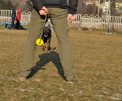 Training Sessions