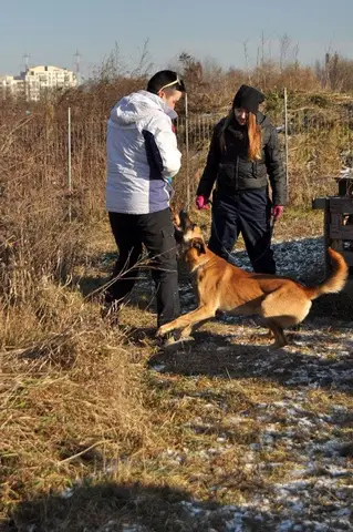 Training Sessions