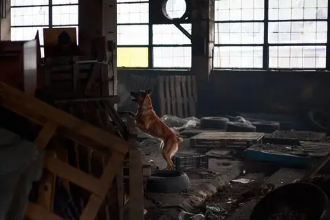 Training Sessions