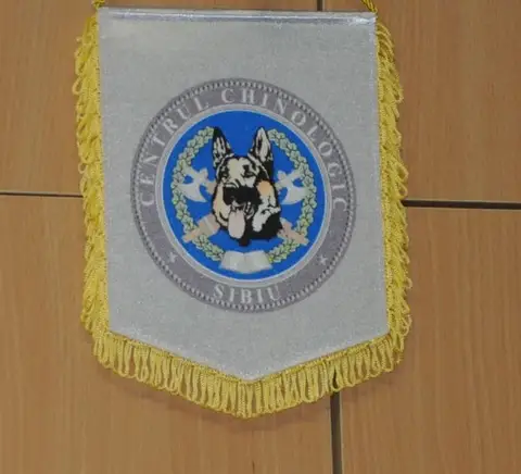 CST National Camp 2013, Izvoare