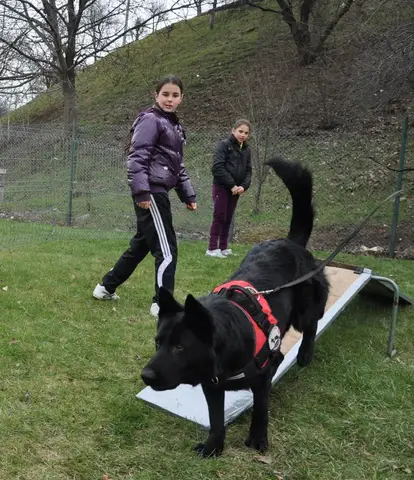 Cora te provoacă să știi mai multe, să fii mai bun! - prima zi