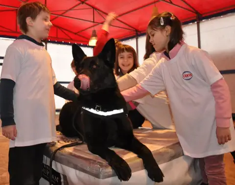 Cora te provoacă să știi mai multe, să fii mai bun! - prima zi