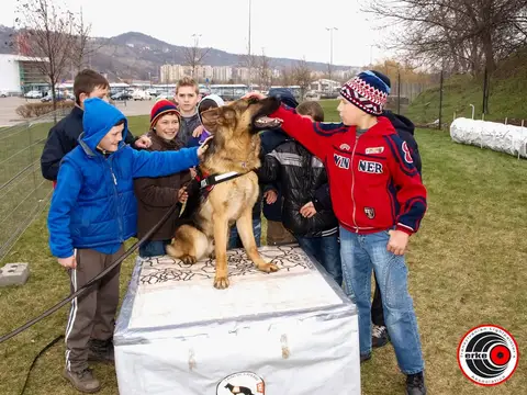 Cora te provoacă să știi mai multe, să fii mai bun! - prima zi