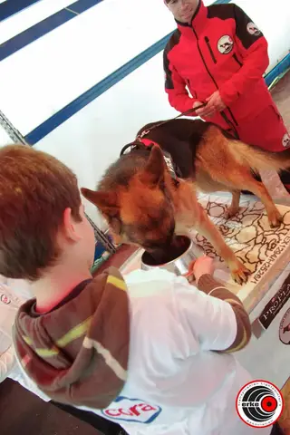Cora te provoacă să știi mai multe, să fii mai bun! - prima zi