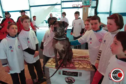 Cora te provoacă să știi mai multe, să fii mai bun! - prima zi