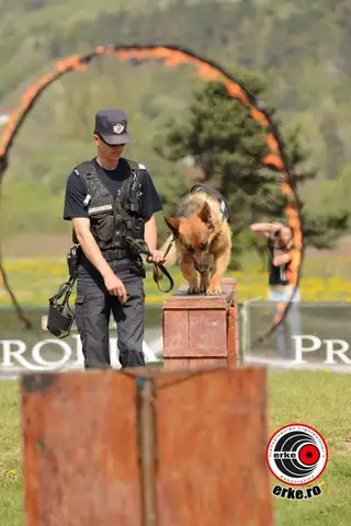 HiperParada Animalelor la Cora