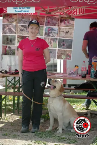 HiperParada Animalelor la Cora