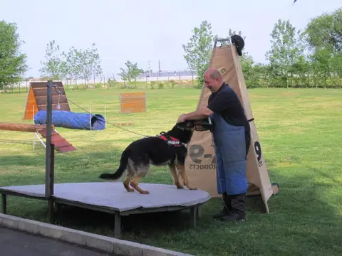 International Rescue Dog Workshop, Jászberény, HU
