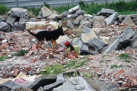 International Rescue Dog Workshop, Jászberény, HU