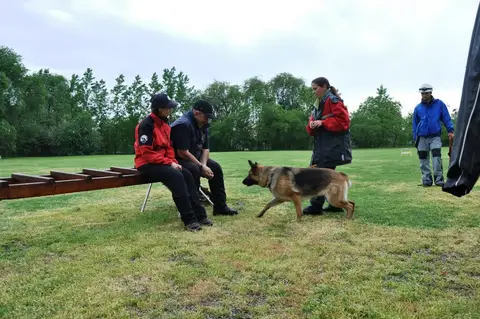 International Rescue Dog Workshop, Jászberény, HU
