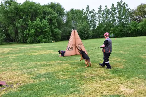 International Rescue Dog Workshop, Jászberény, HU