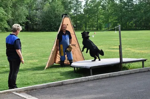 International Rescue Dog Workshop, Jászberény, HU