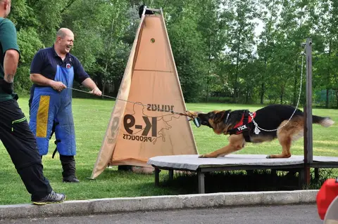 International Rescue Dog Workshop, Jászberény, HU