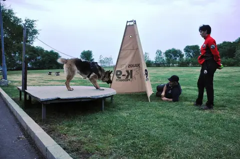 International Rescue Dog Workshop, Jászberény, HU