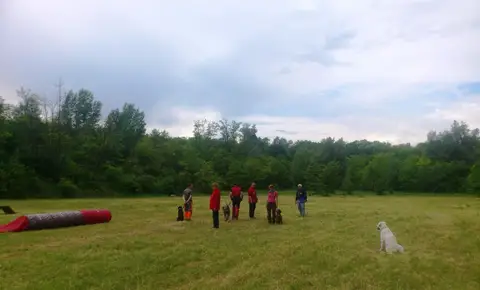 Pest County Rescue Dog Competition - IRO Testing Event