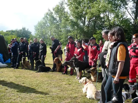 Pest County Rescue Dog Competition - IRO Testing Event