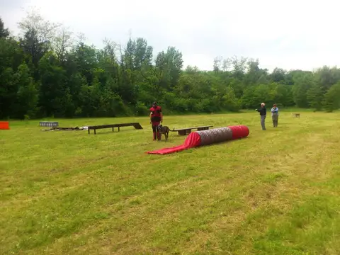 Pest County Rescue Dog Competition - IRO Testing Event