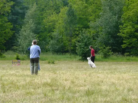 Pest County Rescue Dog Competition - IRO Testing Event