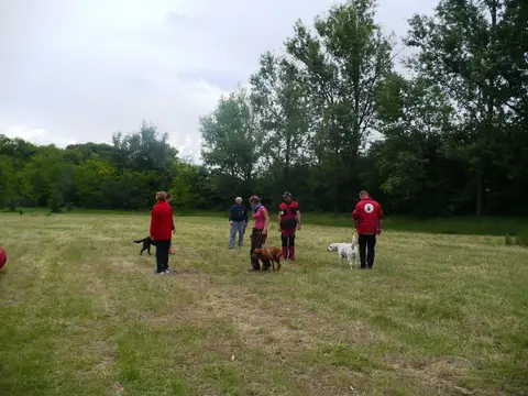 Pest County Rescue Dog Competition - IRO Testing Event