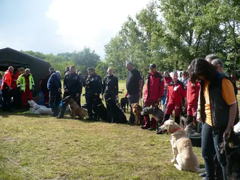 Pest County Rescue Dog Competition - IRO Testing Event