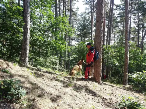 Exercițiu de salvare în Rezervația Naturală Cheile Turzii